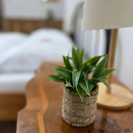 Premium U Swietego Mikolaja Lejlighed