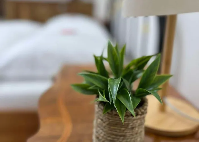 Premium U Swietego Mikolaja Apartmán